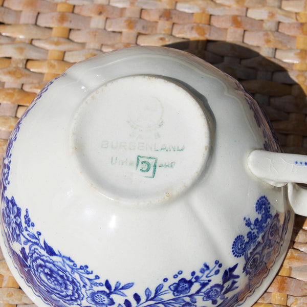 Paire de tasses à thé anciennes en faïence de Villeroy & Boch modèle Burgenland