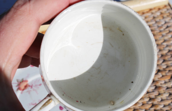 Tasse à café et soucoupe Creil & Montereau – modèle Indienne – Terre de Fer