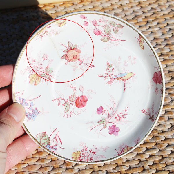 Tasse à café et soucoupe Creil & Montereau – modèle Indienne – Terre de Fer