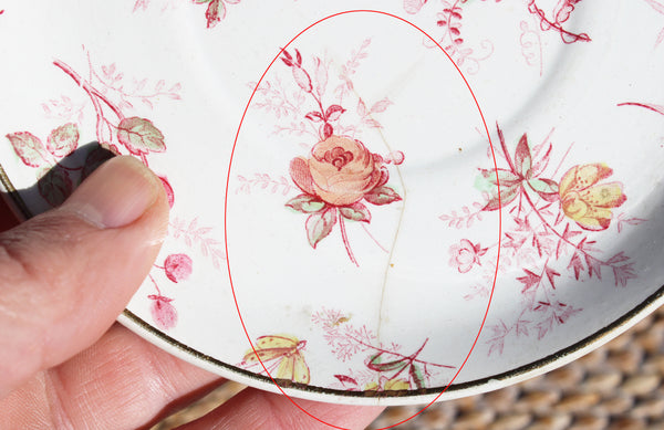 Tasse à café et soucoupe Creil & Montereau – modèle Indienne – Terre de Fer