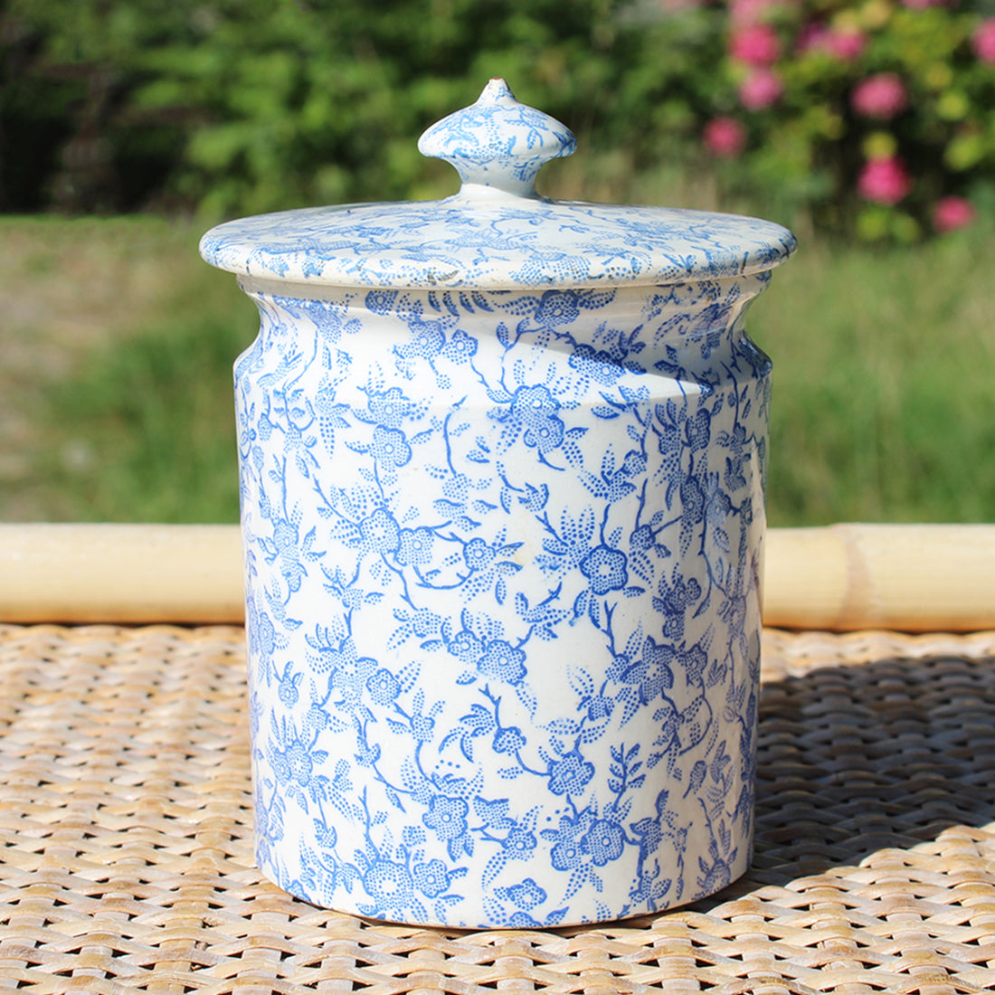 Ancien petit pot à couvercle en opaque de Creil et Montereau B & Cie / Semis de fleurs