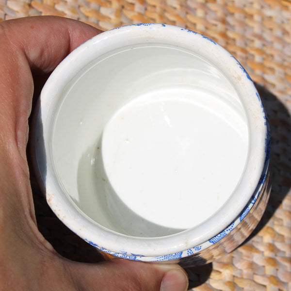 Ancien petit pot à couvercle en opaque de Creil et Montereau B & Cie / Semis de fleurs