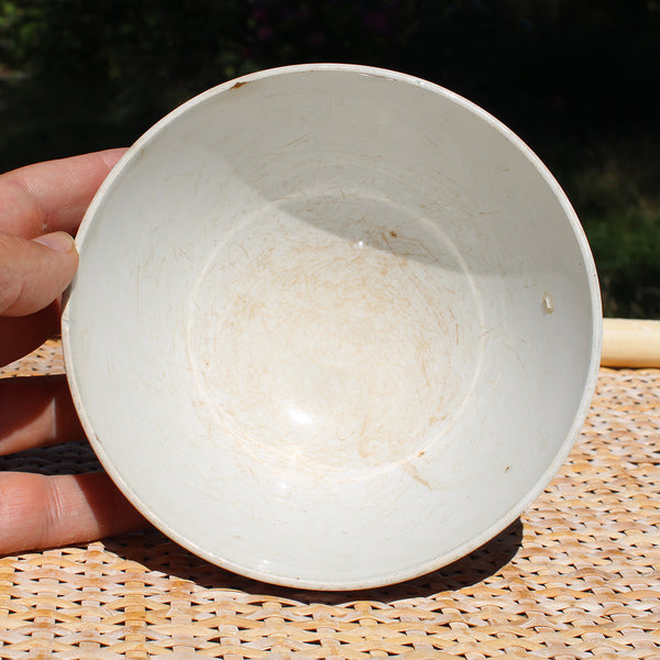 Ancien bol en faïence de St Amand & Hamage Nord modèle Mûrier