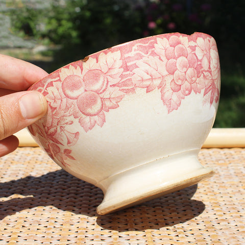 Ancien bol en faïence de Creil et Montereau 619 / vigne / raisin / liseron