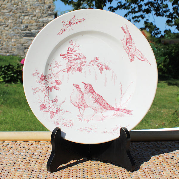 Ancienne assiette plate 21.8 cm St Amand Nord modèle Aucella