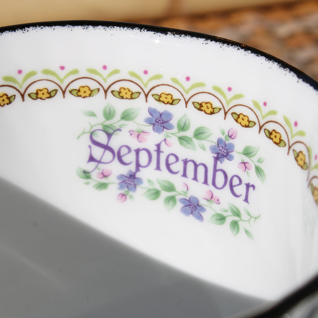 Tasse à thé + soucoupe en porcelaine anglaise English Heritage modèle – La  Roue du Passé