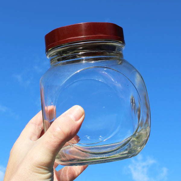 Ancien bocal d'épicerie en verre SISA 1.5 litres / couvercle en bakélite