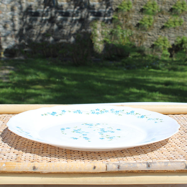 Plat rond / assiette de présentation 29 cm en Arcopal / modèle Veronica / Myosotis