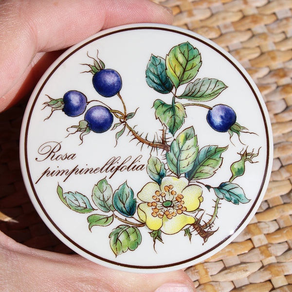 Petite bonbonnière en vitro-porcelaine de Villeroy & Boch design Botanica