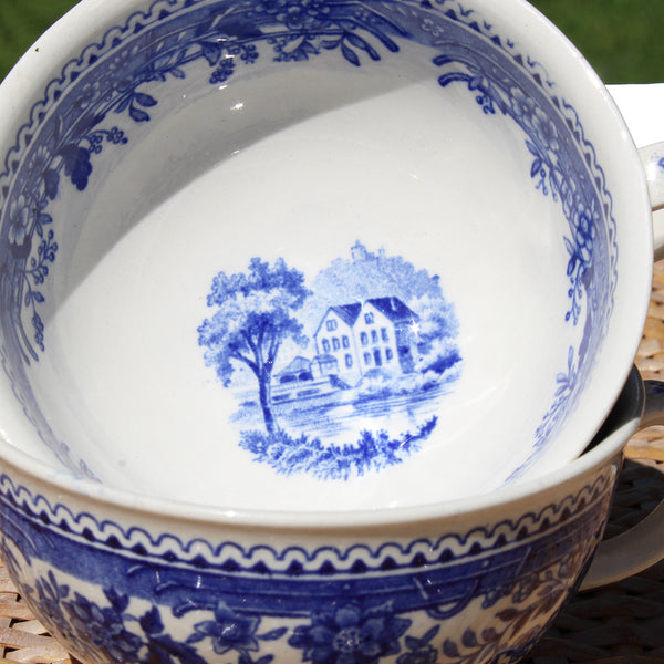 Duo de tasses à thé anciennes en faïence de Villeroy & Boch modèle Burgenland