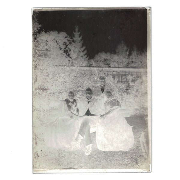 Négatif 18 x 13 / Ancienne photo plaque de verre / Famille bourgeoise / Femmes