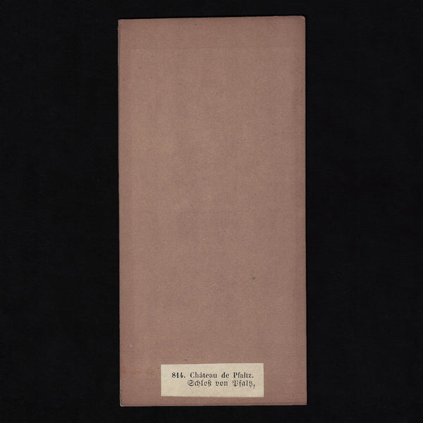 Photo stéréo ancienne A. Braun ( Dornach ) Bords du Rhin / Château de Pfaltz