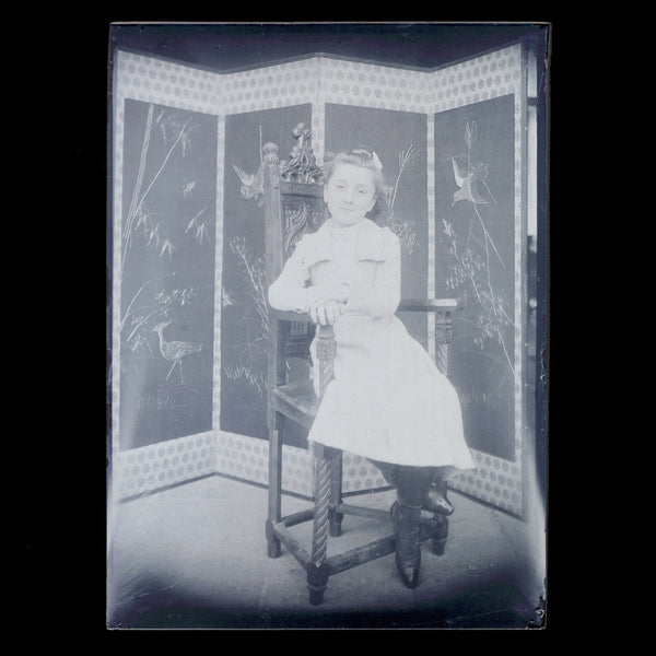 Négatif 18 x 13 / Ancienne photo plaque de verre / Famille bourgeoise / Fillette