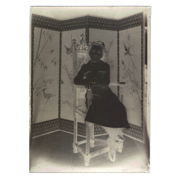 Négatif 18 x 13 / Ancienne photo plaque de verre / Famille bourgeoise / Fillette