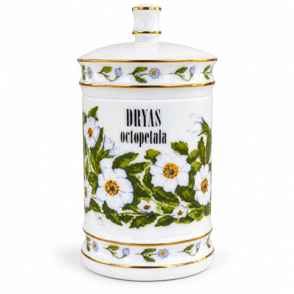 Pot à pharmacie vintage en verre opalin Verreries Brosse – Vieux-Rouen – DRYAS octopetala