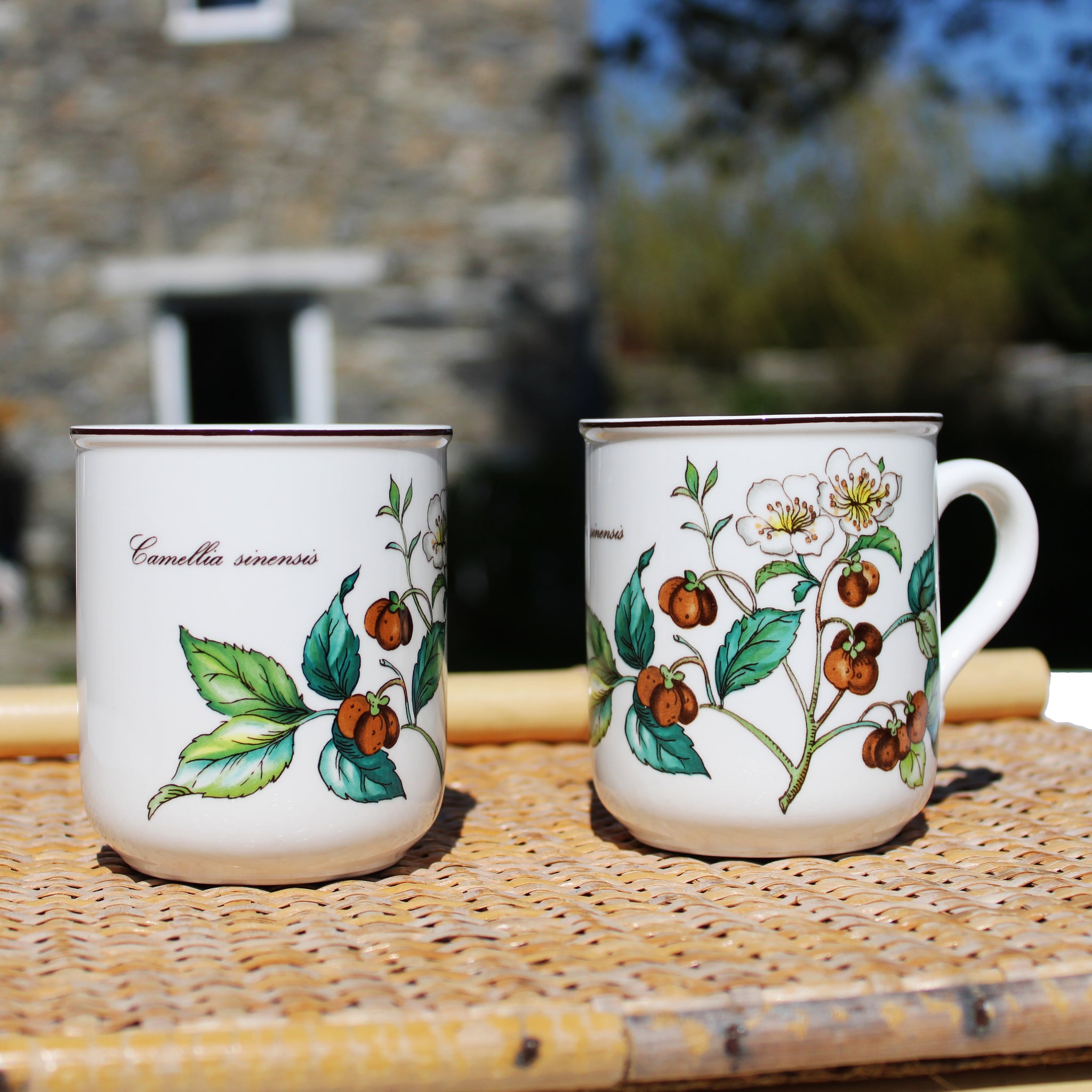 Duo de grandes tasses / mugs Villeroy & Boch modèle Botanica