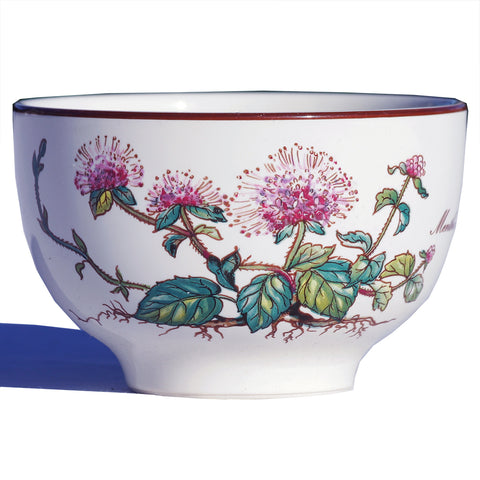 Bol en vitro porcelaine de Villeroy & Boch modèle Botanica