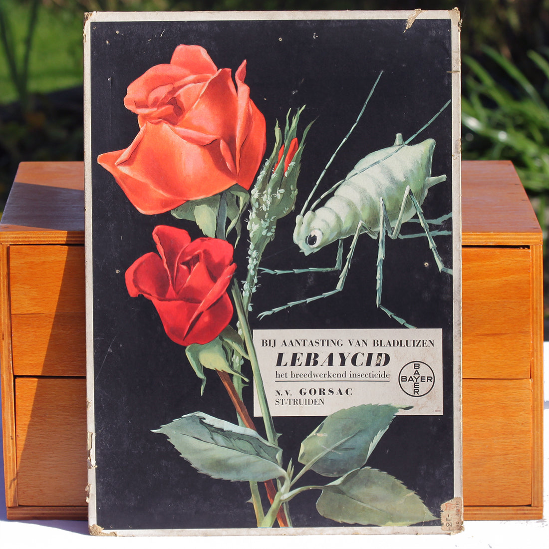 Ancien carton publicitaire de droguerie belge pour l'insecticide Lebaycid de Bayer