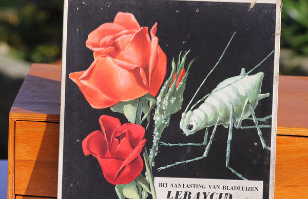 Ancien carton publicitaire de droguerie belge pour l'insecticide Lebaycid de Bayer