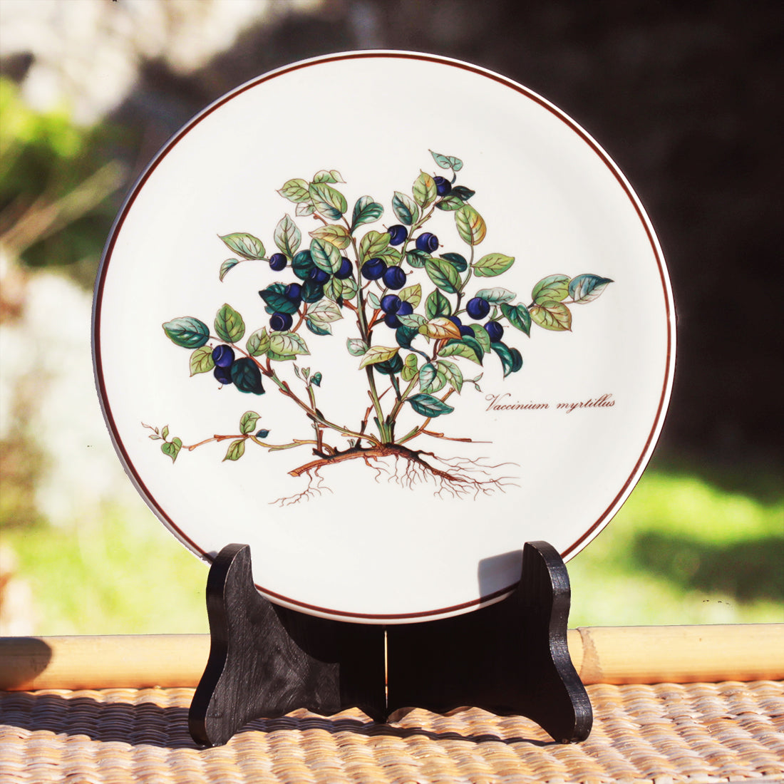 Dessous de plat 20 cm en vitro porcelaine de Villeroy & Boch modèle Botanica