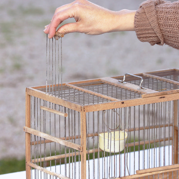 Cage à oiseaux ancienne en bois du milieu du XXème siècle