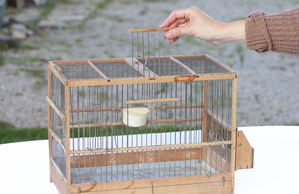 Cage à oiseaux ancienne en bois du milieu du XXème siècle