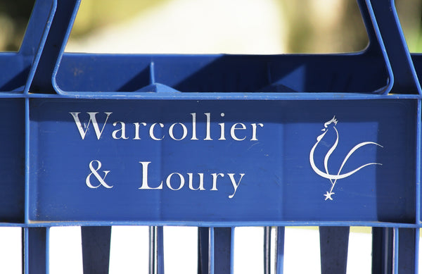 Caisse casier AMI à bouteilles de vins Warcollier & Loury vintage en plastique bleu