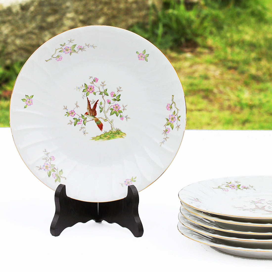 Ensemble de 6 assiettes plates anciennes en porcelaine fine de Sologne Lamotte décor oiseau