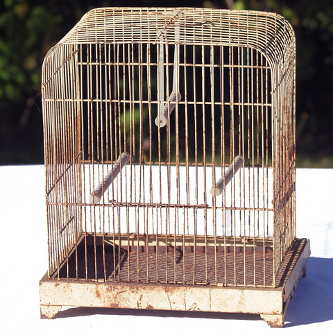 Petit cage à oiseaux ancienne en métal