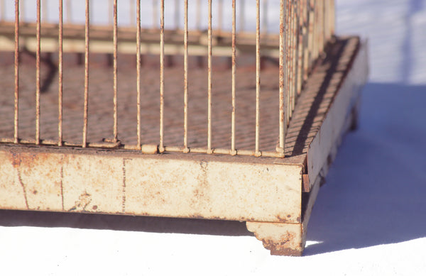 Petit cage à oiseaux ancienne en métal