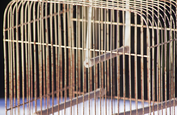 Petit cage à oiseaux ancienne en métal