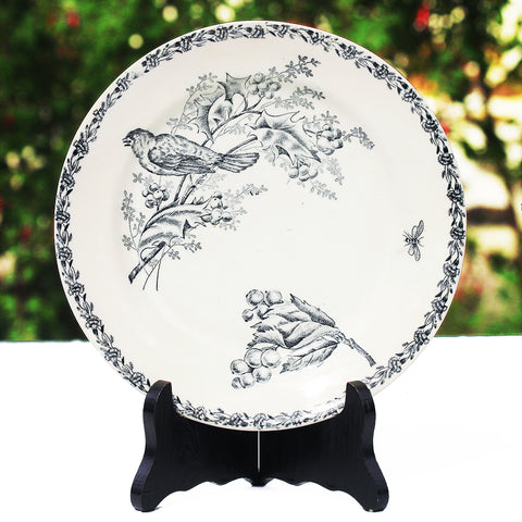 Assiette plate ancienne en faïence de Nimy Belgique modèle oiseau dessin 1