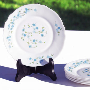6 grande assiette plate vintage arcopal modele veronica decor myosotis 6 grande assiette plate vintage arcopal modele veronica decor myosotis