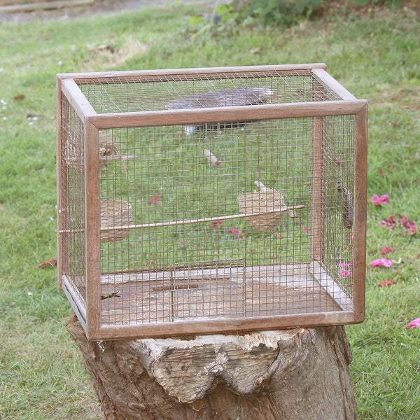 Cage à oiseaux ancienne en bois des années 1940