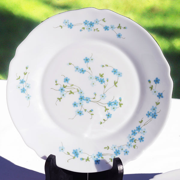 Ensemble de 6 assiettes plates Arcopal modèle Veronica Myosotis