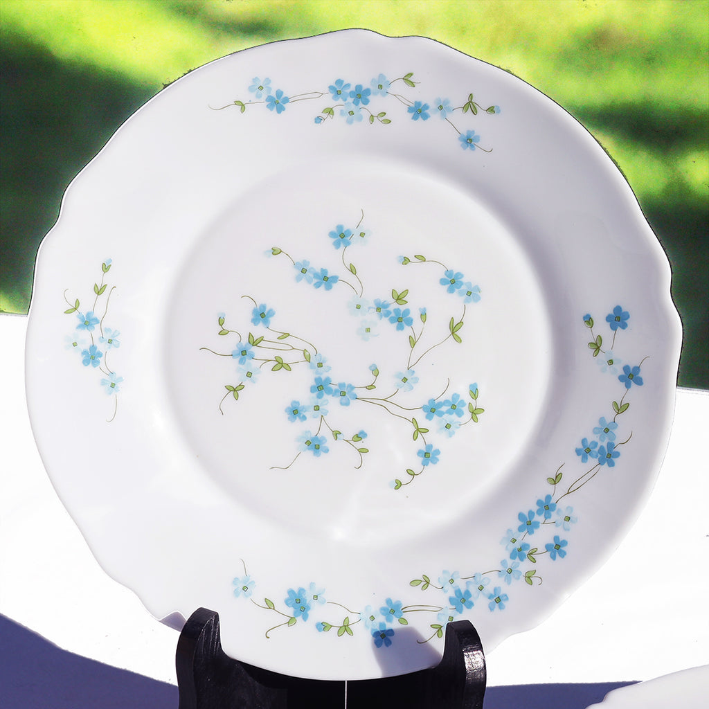 Assiettes à dessert Arcopal décor myosotis.( très courant Assiettes à dessert Arcopal décor myosotis.( très courant