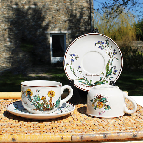 Duo de tasses à thé + soucoupes Villeroy & Boch modèle Botanica