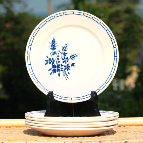 Ensemble de 6 assiettes plates anciennes 21 cm en demi porcelaine de Badonviller modèle floral
